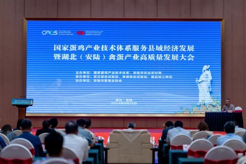 國家蛋雞產(chǎn)業(yè)技術(shù)體系服務(wù)縣域經(jīng)濟(jì)發(fā)展大會(huì)在安陸召開，信息技術(shù)咨詢服務(wù)助力產(chǎn)業(yè)升級