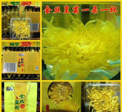 批發(fā)菊花茶 正宗修水金絲皇菊 大朵菊花一朵一杯 一盒十朵4盒