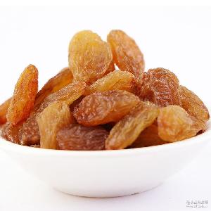 女人香葡萄干 品牌、價格與批發零售指南