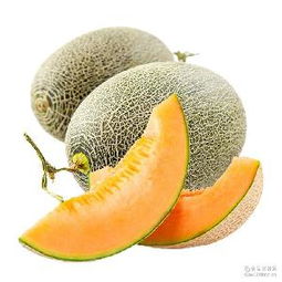 哈密瓜蓉產品綜合指南 價格、型號、圖片及預包裝食品批發與零售服務